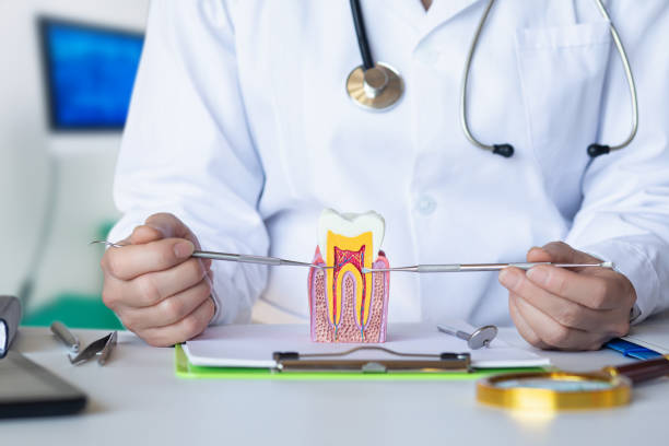 Best Emergency Dental Care for Abscessed Tooth in Pine Mountain Lake, CA